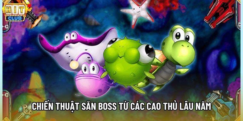 Chiến thuật săn boss từ các cao thủ lâu năm Chiến thuật săn boss từ các cao thủ lâu năm